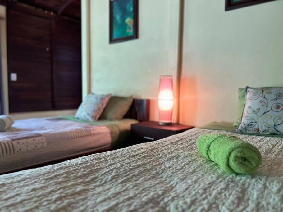 Casita Lidia Bijagua B&B 외부 사진